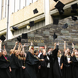 Undergraduate Courses