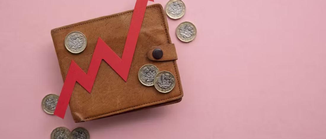 Picture of a wallet with coins and a red arrow going up on top of it