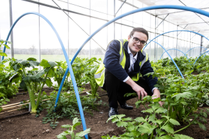 Dr Matthew Walker inside a polytunnel at Tozer Seed Company