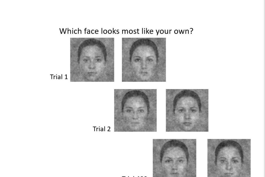 An illustrative series of choices- which face looks most like your own?