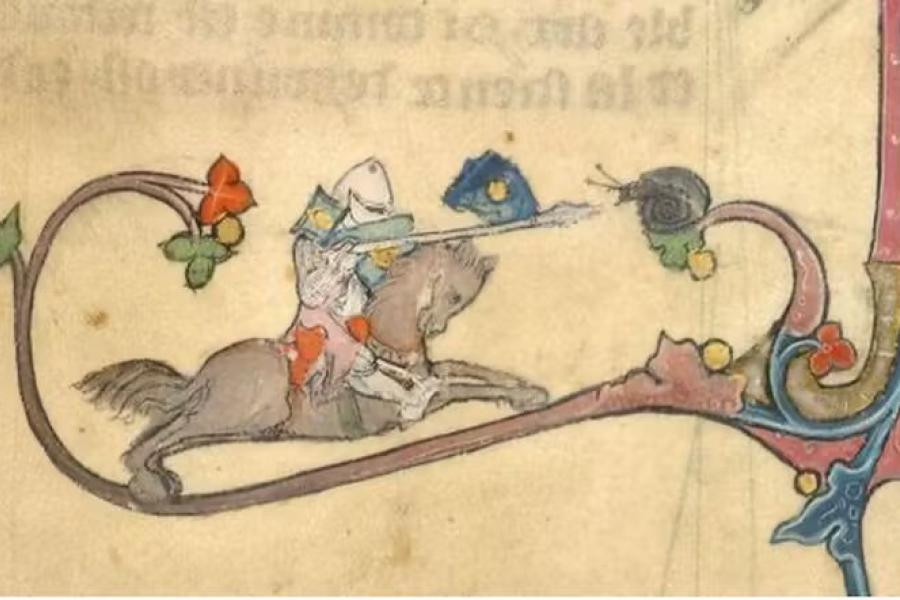 knight on horseback fights snail medieval illustration