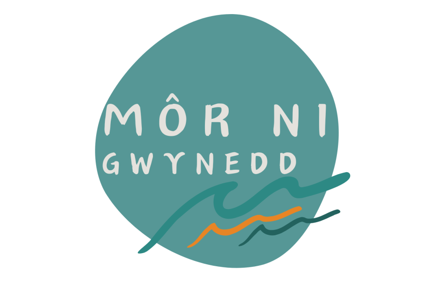 Mor Ni Gwynedd Logo- No background for white backgrounds 