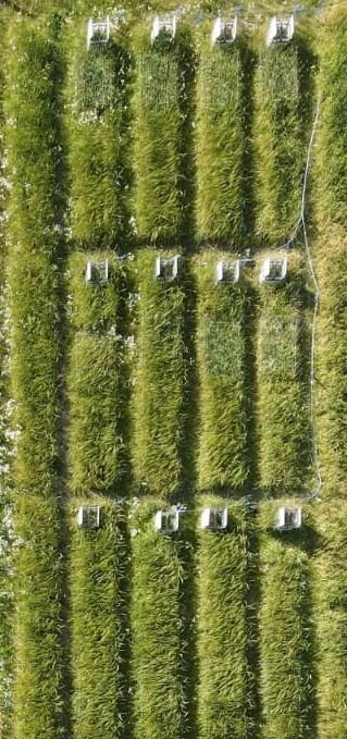 Aerial photograph of experimental area during the first year of application as part of the research project on the effect of different microplastic types and concentrations on soil and crop health