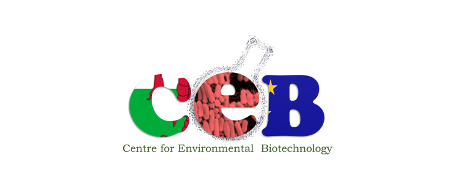 Centre for Environmental Biotechnology (CEB)