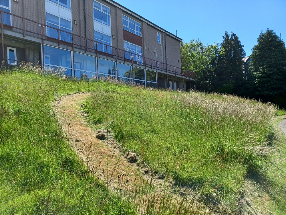 JP Hall - West Meadow