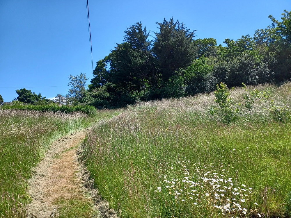 JP Hall_North Meadow