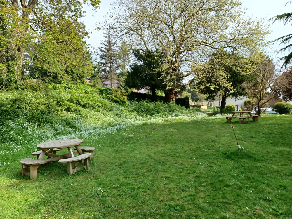 Rathbone Hall north meadow