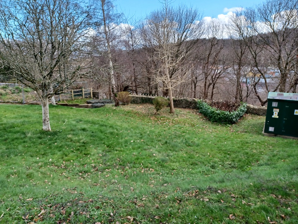 Lloyd Building south meadow