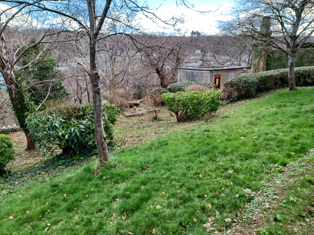 Lloyd Building south meadow