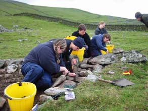 Image of Students researching at Ardudwy