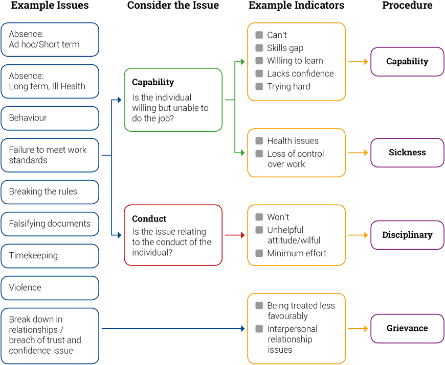 Explanation of the difference between Capability and Conduct