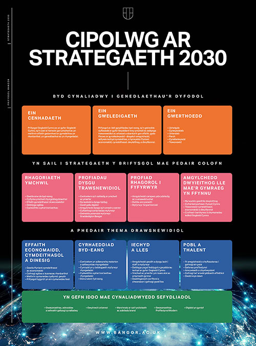 Cipolwg ar Strategaeth 2030