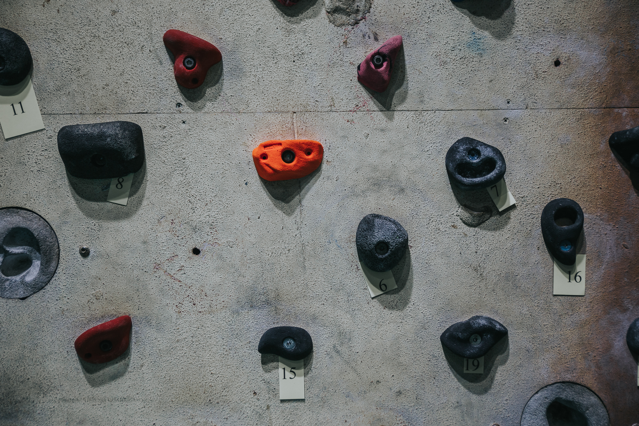 A section of holds on the Climbing Wall