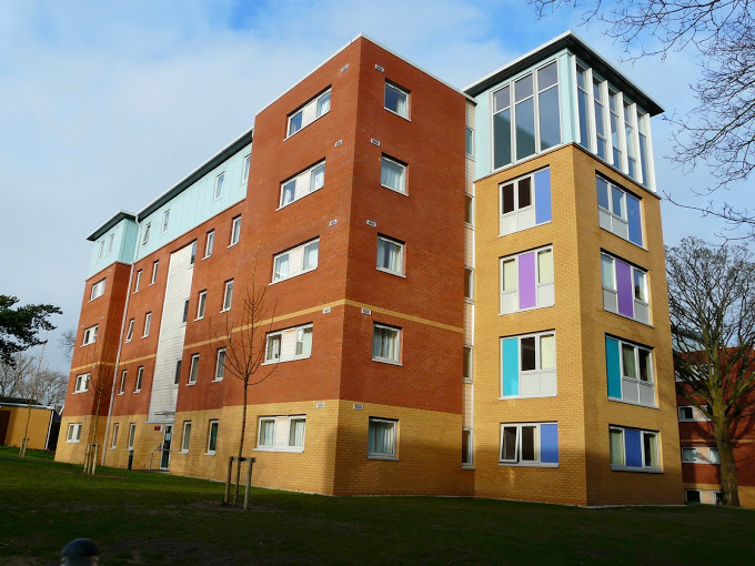 Halls of Residence, Ffriddoedd Site