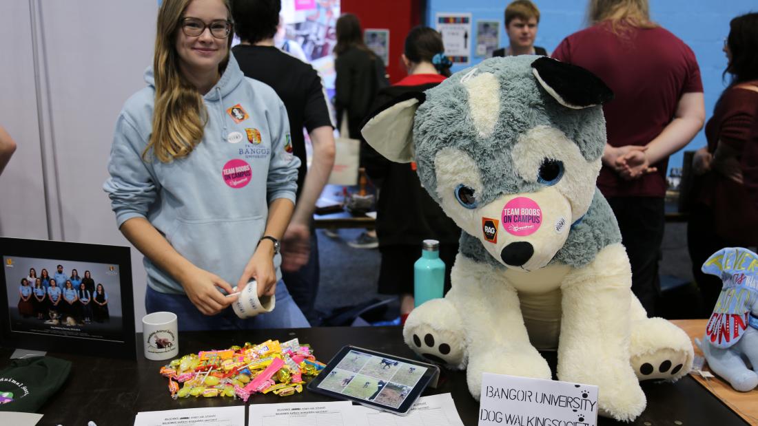 A student promoting the Dog Walking Society at the Serendipity Fair during Welcome Week