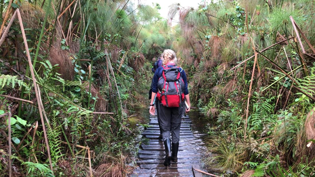 Tropical Forestry | Bangor University