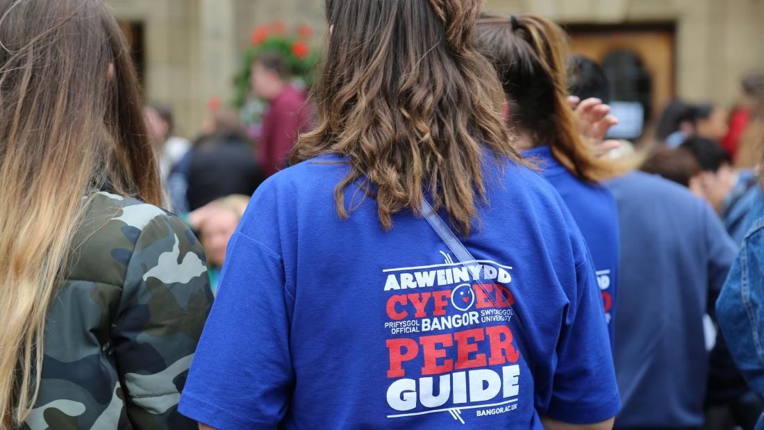 Students talking to Peer Guides during Welcome Week