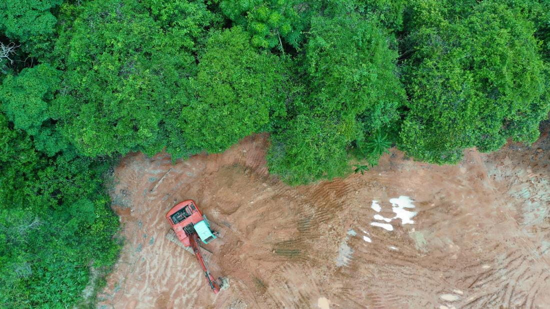 Deforestation in the rainforest 