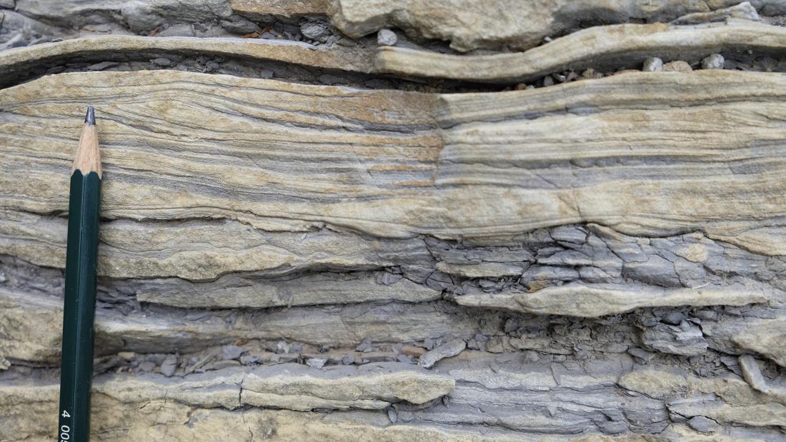 Sedimentary structure of ripple and loadcast in sandstone