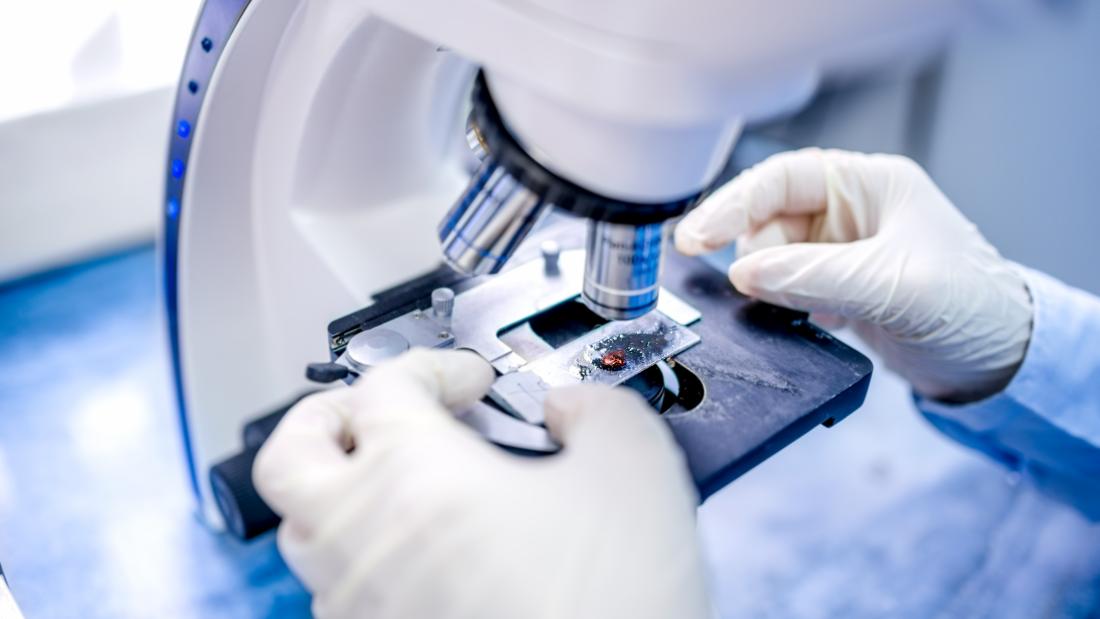 Scientist hands with microscope examining samples and liquid