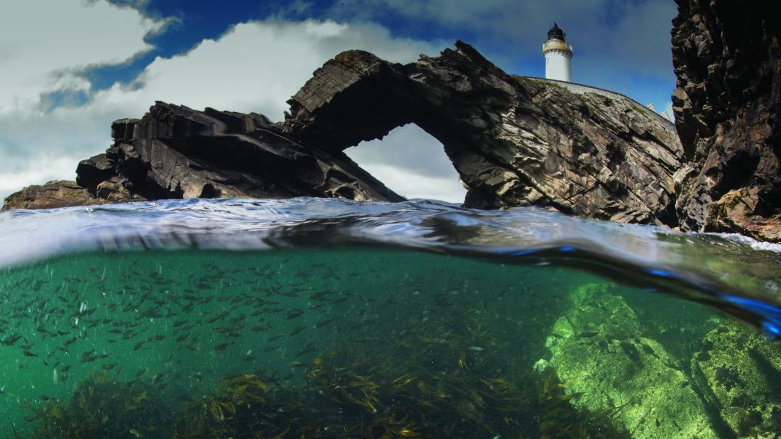 Costal lighthouse with marine life underwater