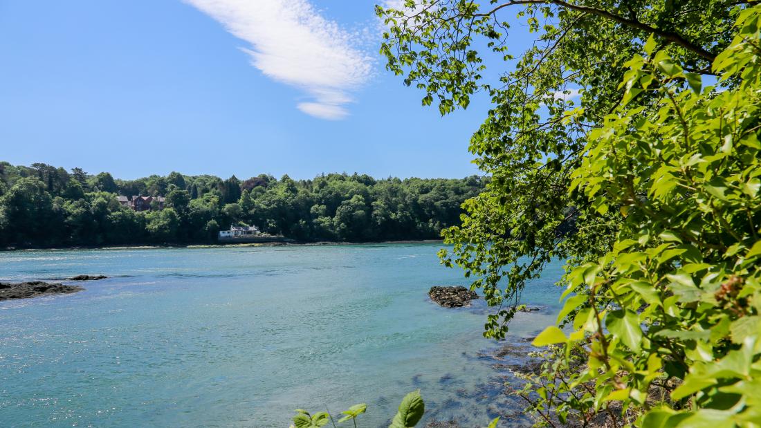 The wildlife and beautiful scenery surrounding the Menai Straits between Bangor and Anglesey