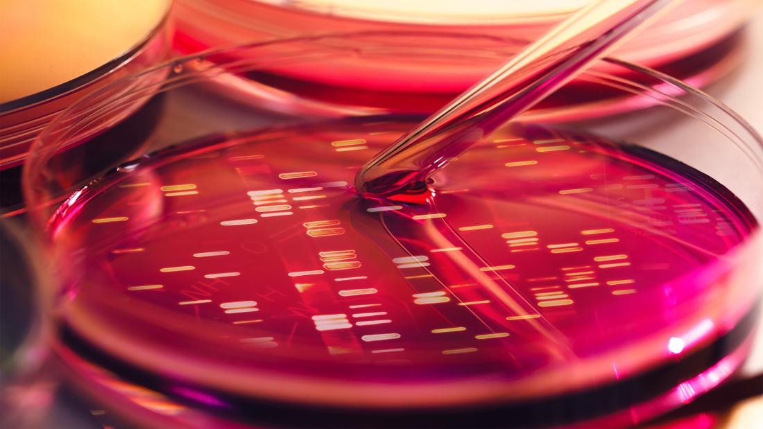 DNA data inside petri dish