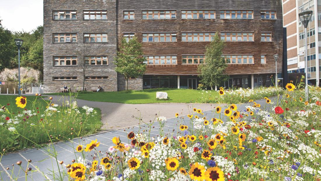 Environment Centre Wales