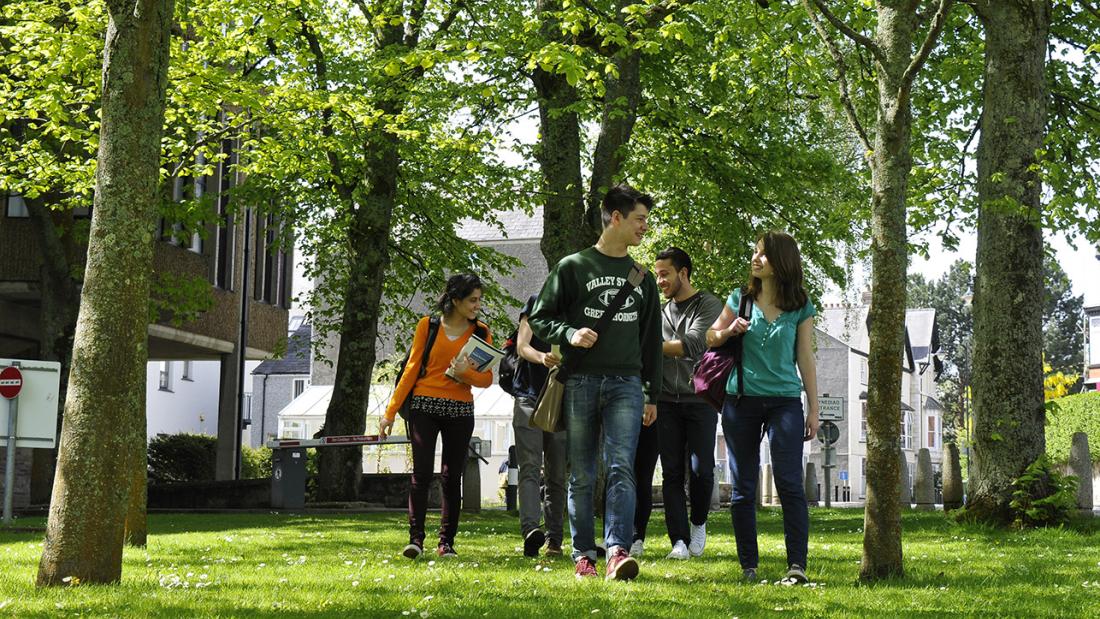 Students walking under trees