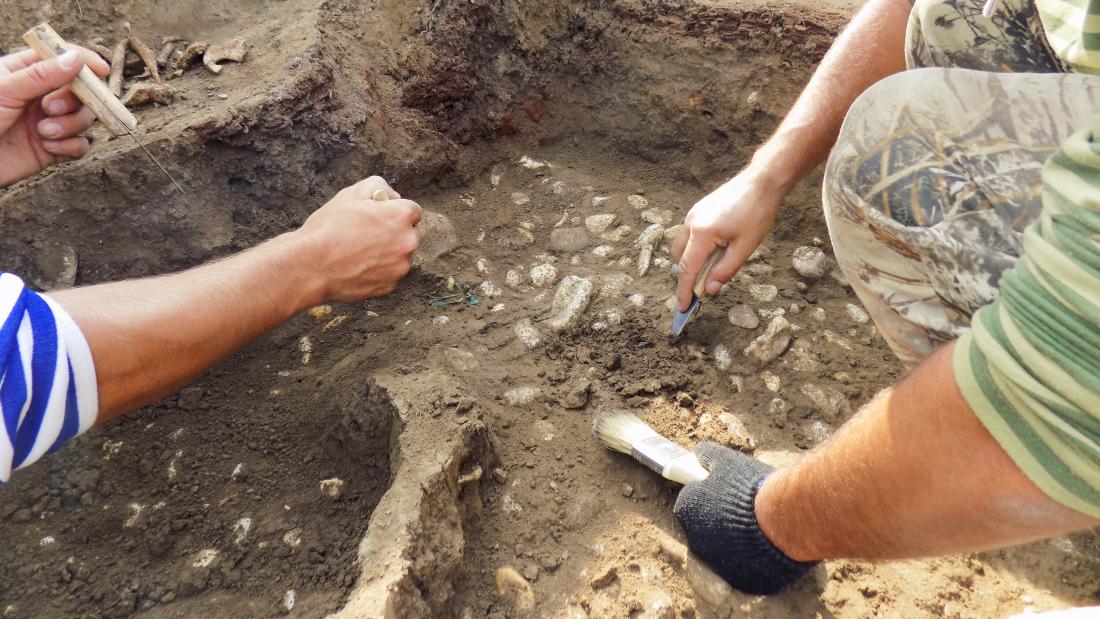 Archaeologist with tools