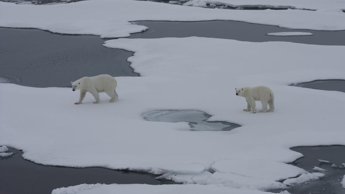 Melting ice