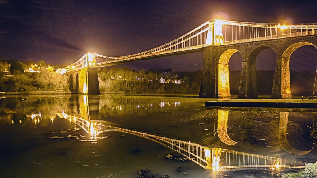 Light Pollution is leading nocturnal animals astray