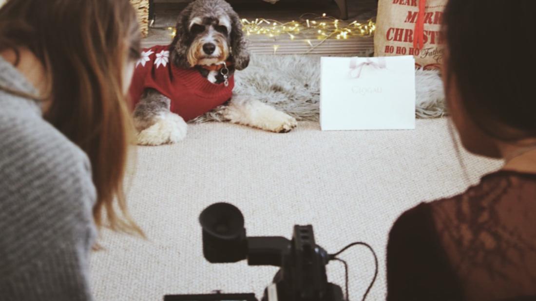 Students filming a dog lying on a white rug