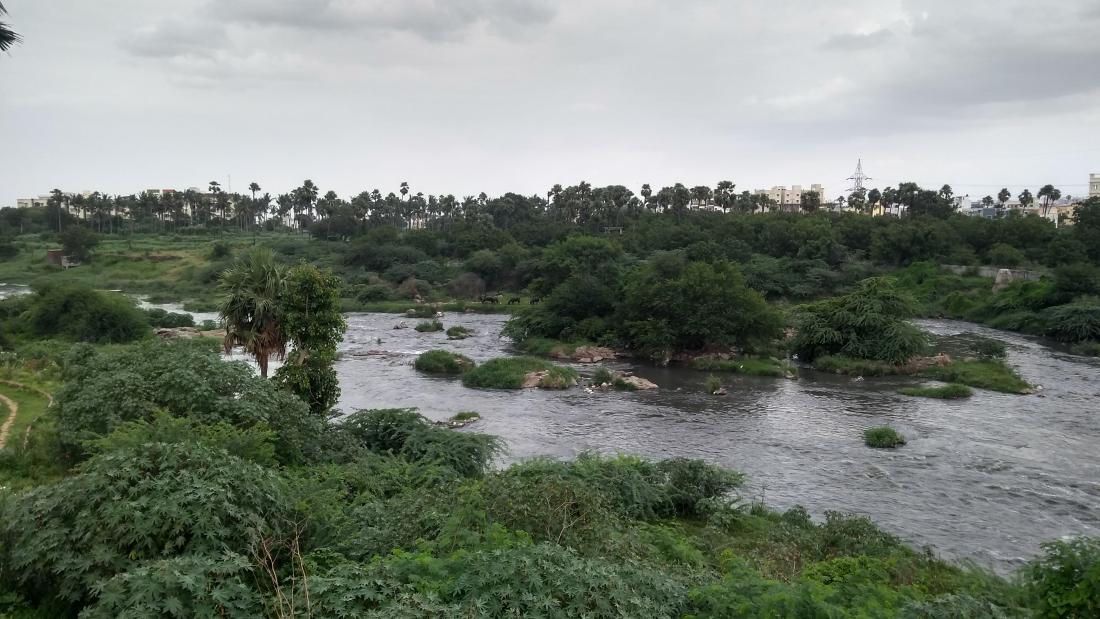 A wide river with small islets and  banked by  trees and shrubs