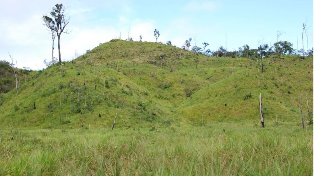 A landscape of low hillocks and sparse trees showing Amazonian deforestation
