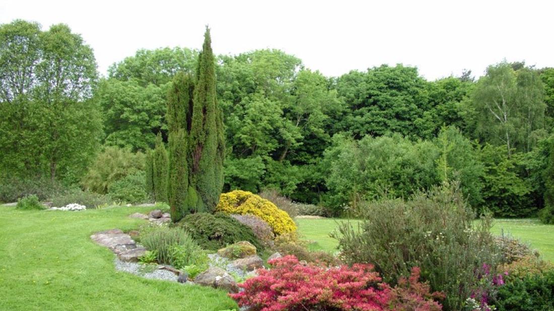 A view of the rockery at Treborth Botanic Garden, Bangor University, with planting showing different colour blocks and shapes and height of plants.