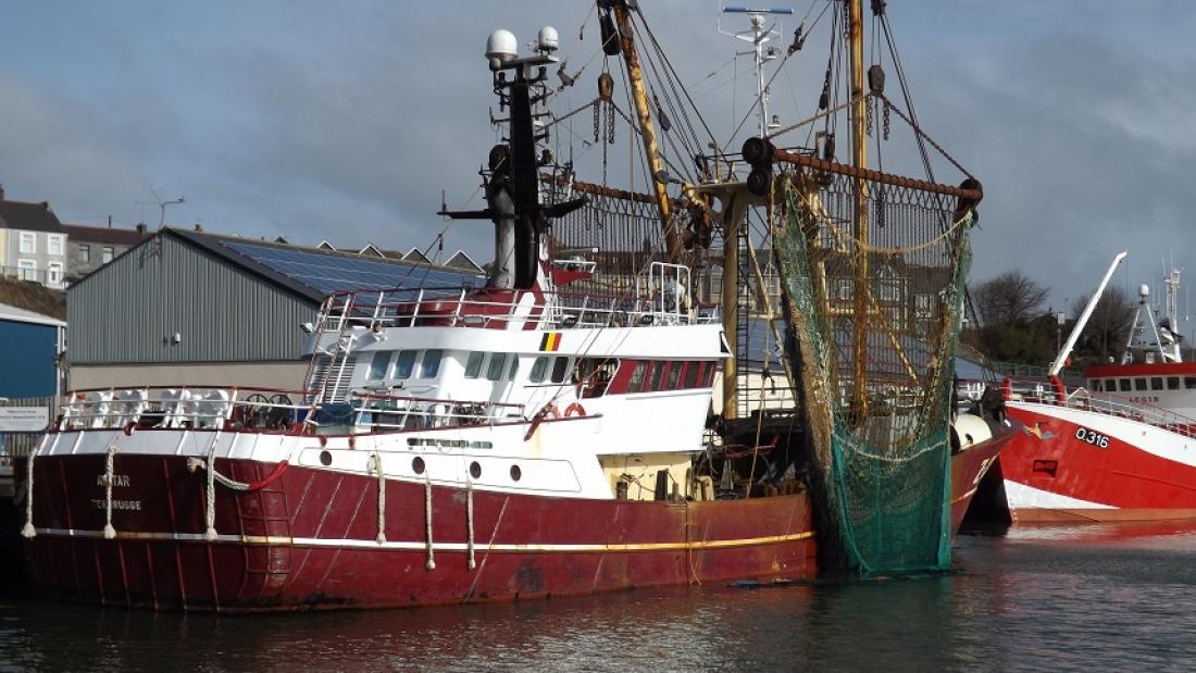 Cwch pysgota  yn y porthladd, gyda'r rhwydi yn crogi ar ochr y llong