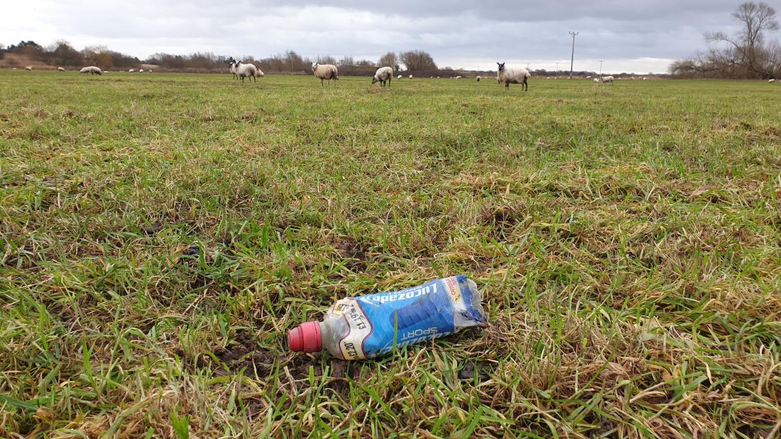 A plastic bottle lies discarded in the foreground, while sheep graze in the field