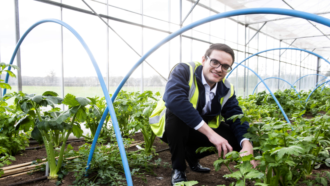 Dr Matthew Walker inside a polytunnel at Tozer Seed Company