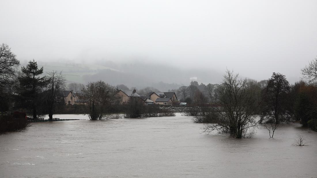 llun llwyd o afon wedi gorlifo a choed yn sefyll mewn dŵr.