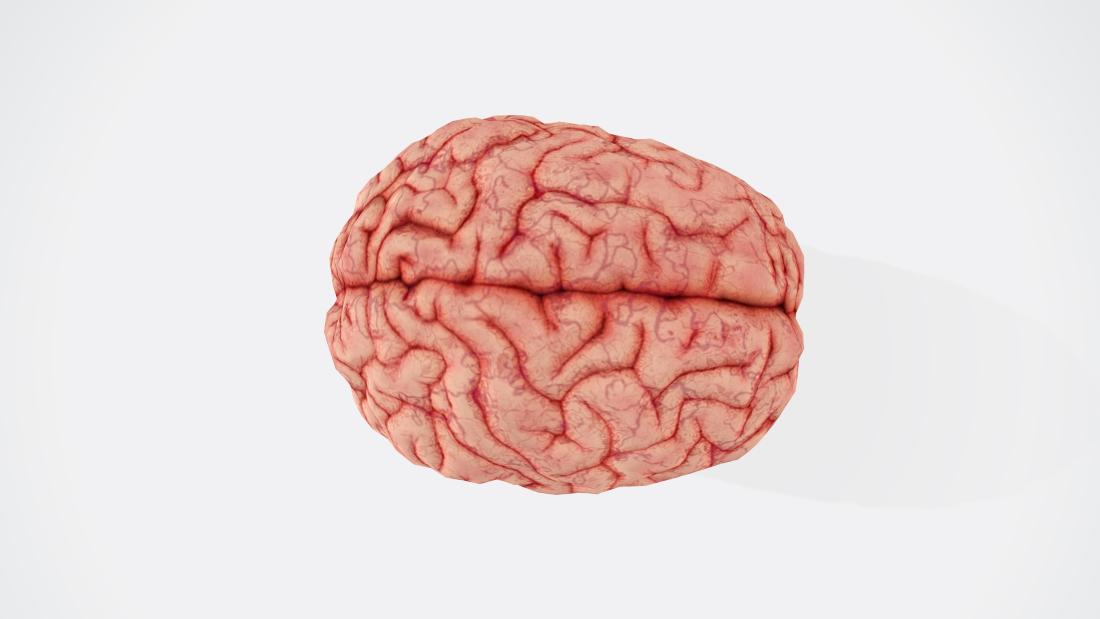 picture of the brain from above