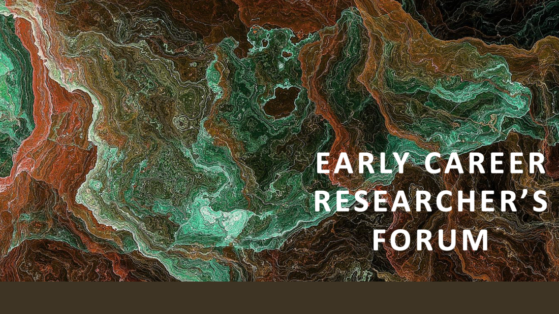 Early career researchers forum design