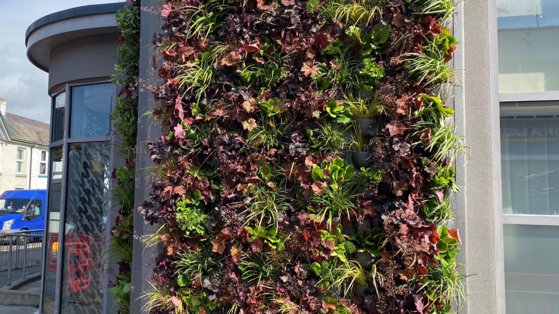 A living wall on a city street