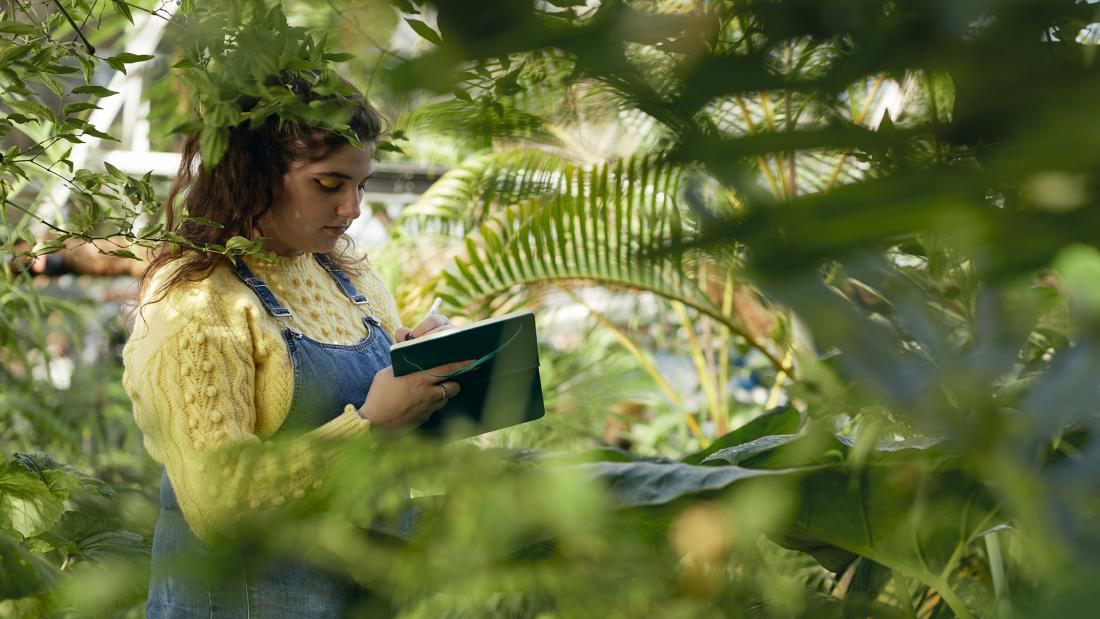 A student wearing a yellow jumper writing in a notebook, surrounded by plants in a greenhouse at Treborth Botanic Garden.