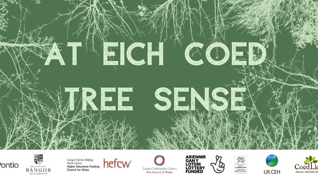  Green image of tree branches with the words At eich coed/ Tree Sense and logos of participating organisations