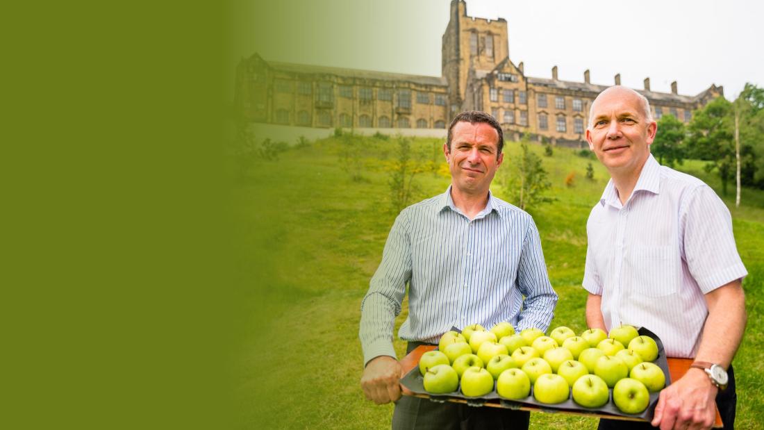 Two people standing outside Bangor University main building holding a tray of apples