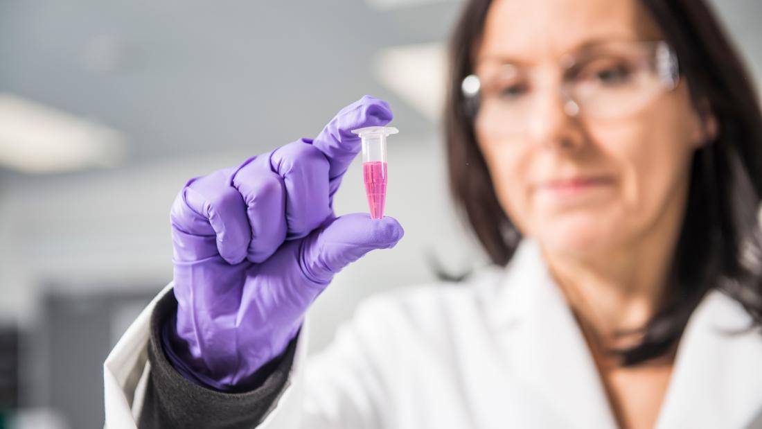 Person i lab wearing purple latex gloves and holding up a sample