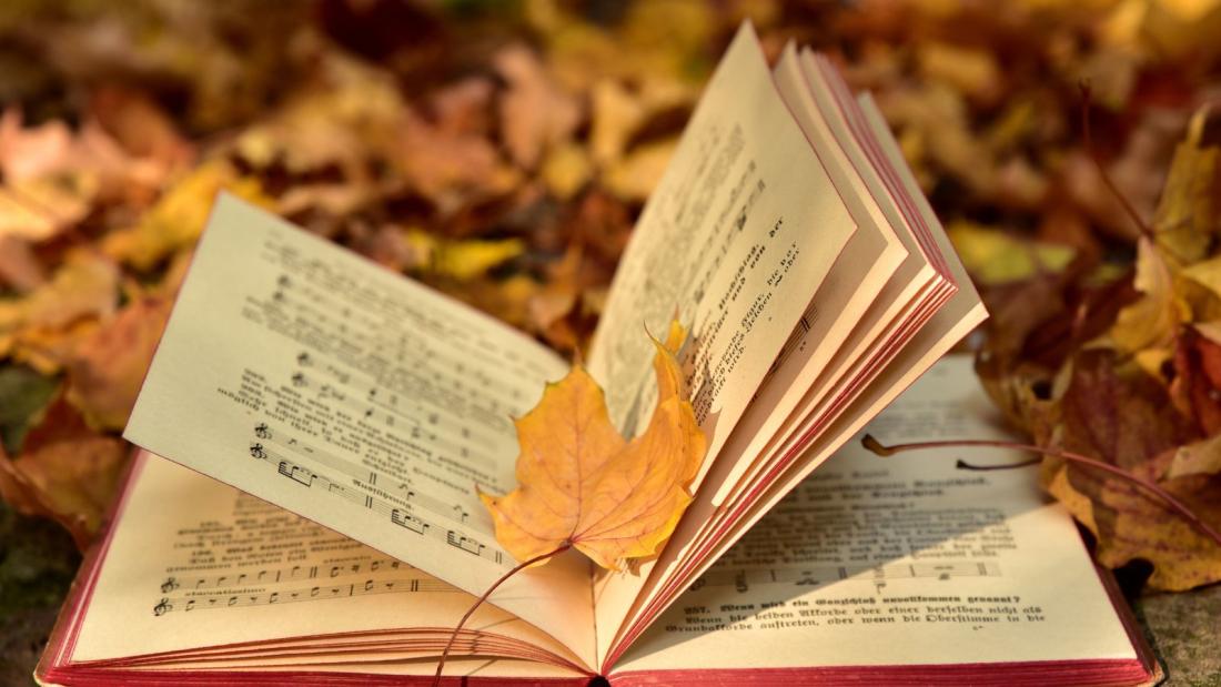 Open Book
