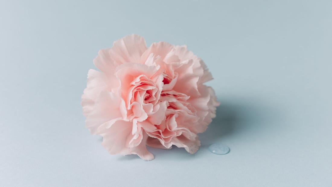 Flower Image