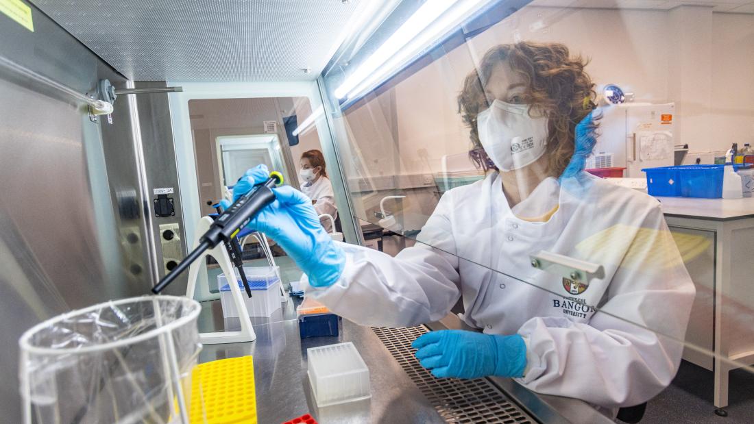 Person testing samples in a lab